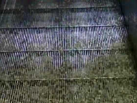 振動選別異物除去装置